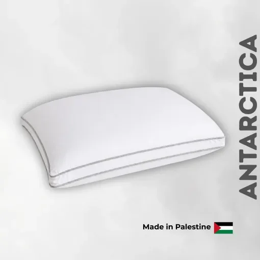 Antarctica Pillow